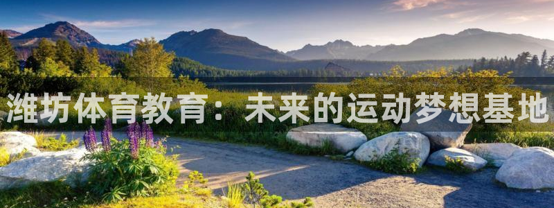 JJB竞技宝官网下载娱乐:潍坊体育教育:未来的运动梦想基地