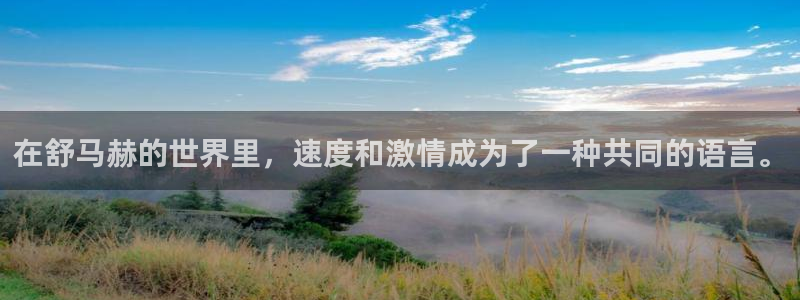 JJB竞技宝官方正版app集团官网首页网址:在舒马赫的世界里