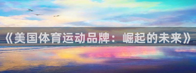 JJB竞技宝官网下载招商电话:《美国体育运动品牌:崛起的未来