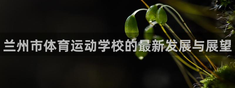 JJB竞技宝官网下载娱乐:兰州市体育运动学校的最新发展与展望